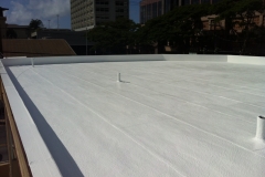 Coldwell Banker Roof Coating Project