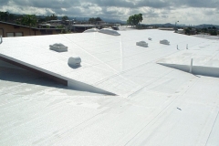 Commercial Building Roof Coating