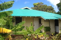 Mint Green Home Roof Coating