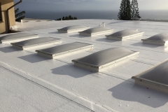 Coating on Roof With Skylights